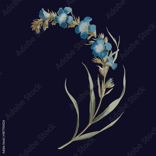 wonderful watercolor flower art