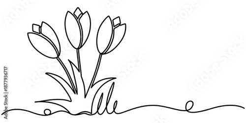 Tulip flower continuous one line drawing. Flower sign in one line style. outline vector illustration. 