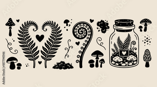 Woodland botanical silhouettes with mushrooms and ferns vector illustration