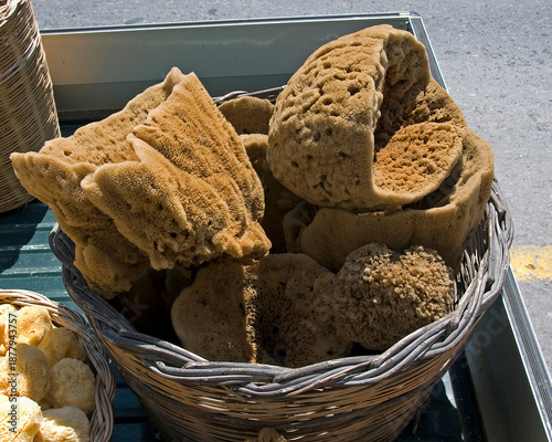 natural sponge on the island of crete in greece