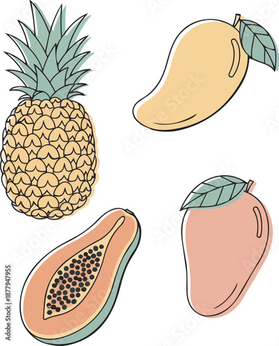 Vector illustration of tropical fruits including pineapple papaya and mango