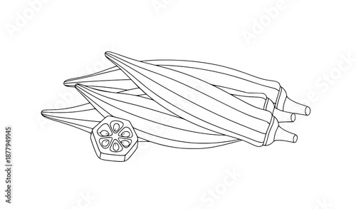 Okra pods line art vector illustration isolated on white for fresh vegetable and healthy food designs