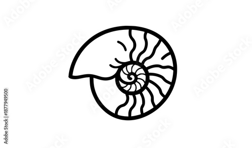 Nautilus shell outline vector illustration of marine life and ocean creatures
