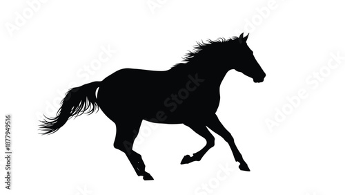 Striking black silhouette of a beautiful horse captured in a dynamic galloping motion