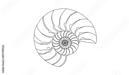 Minimalist nautilus shell vector outline for marine biology and ocean illustrations
