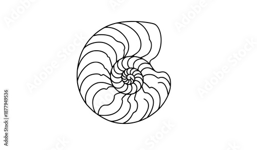 Flat nautilus shell outline vector for marine life, ocean creatures, and educational designs
