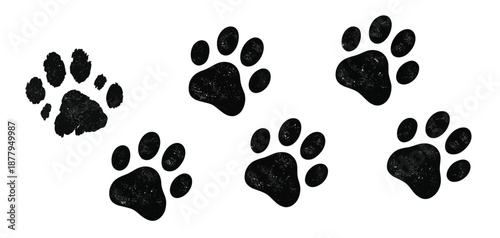 Dog paw print, cat foot grunge icon, animal sketch path, including bear, panda, and tiger foot tracks, black silhouettes isolated on white background, cartoon vector illustration for wildlife, pets