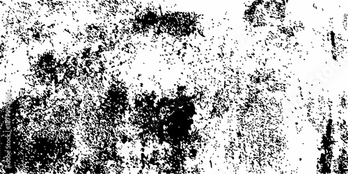 bear on a grunge. grunge bear background. 