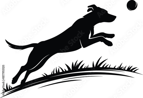 Energetic black dog silhouette jumping to catch ball in outdoor nature setting playful canine pet in action happy animal running through grass field for veterinary advertising or pet store marketing m