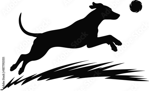 Energetic dog silhouette jumping to catch ball in playful outdoor action scene for pet care veterinary illustrations and animal behavior training materials active canine chasing toy on grass field gra