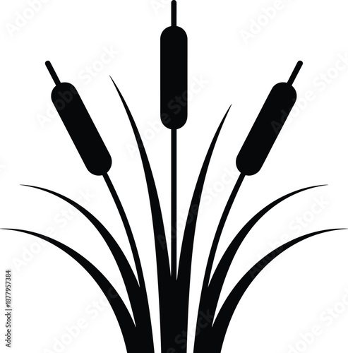 Elegant black cattails illustration on white background depicting wetland plants and reed mace for nature conservation projects and ecological studies showcasing silhouette vector design for botanical