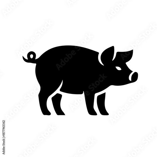 vector illustration of a pig