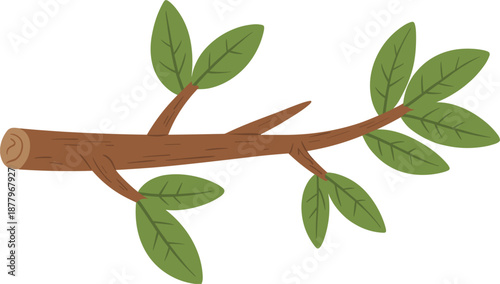 Small brown tree branch with green leaves vector illustration, natural garden plant element for design