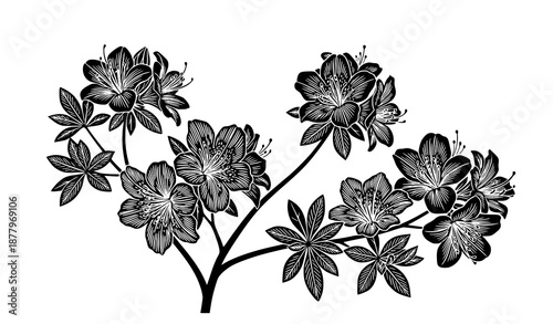 Azaleas Flowers Silhouette Vector Illustration in Minimalist Woodblock Style