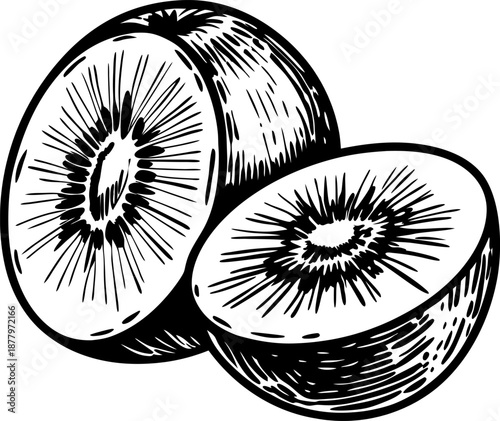 fresh kiwi fruit halves with detailed textured seeds and skin drawing illustration