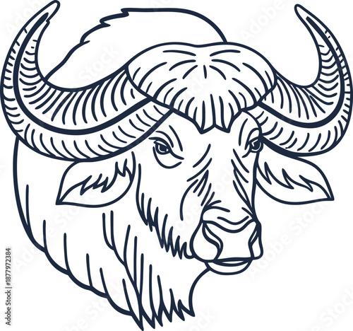 Majestic african buffalo head with large curved horns and detailed facial features