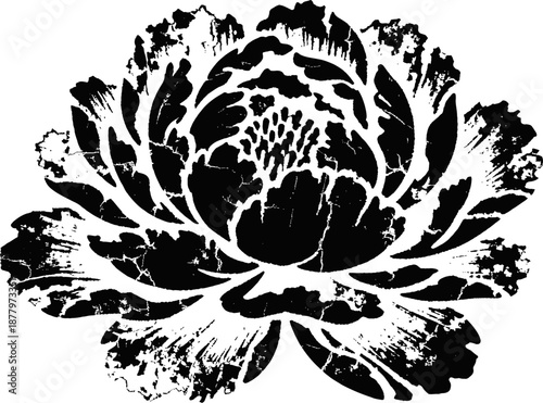 Black and white floral illustration of a blooming lotus flower with textured petals
