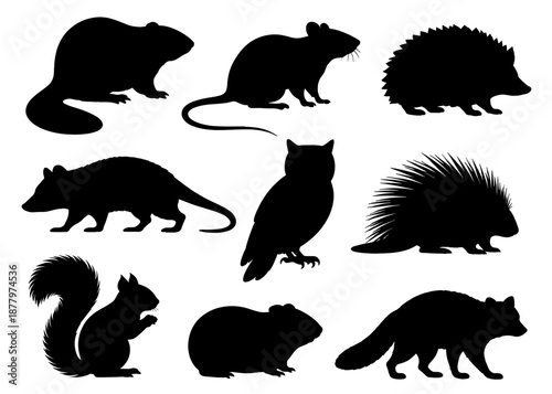 Small wild animal silhouettes collection with different species and poses. Black figures showing forest rodents and nocturnal animals