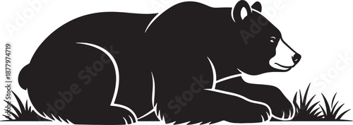 Black bear illustration in black and white