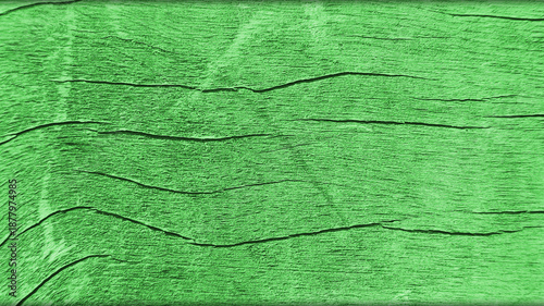 Wooden texture in green 
