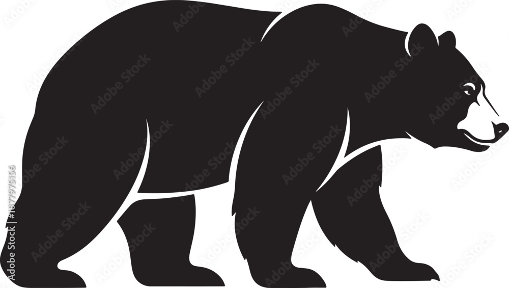Fototapeta premium Black bear silhouette walking
