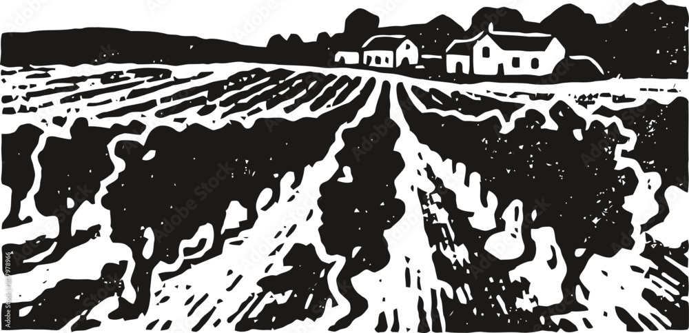 Fototapeta premium vineyard landscape with rows of grapevines and farmhouse in black and white woodcut