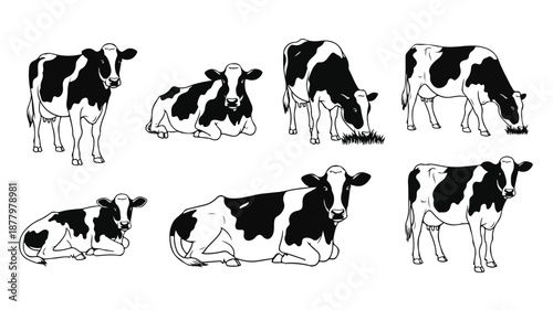 A set of seven black and white illustrations of cows in various poses on a plain white background.