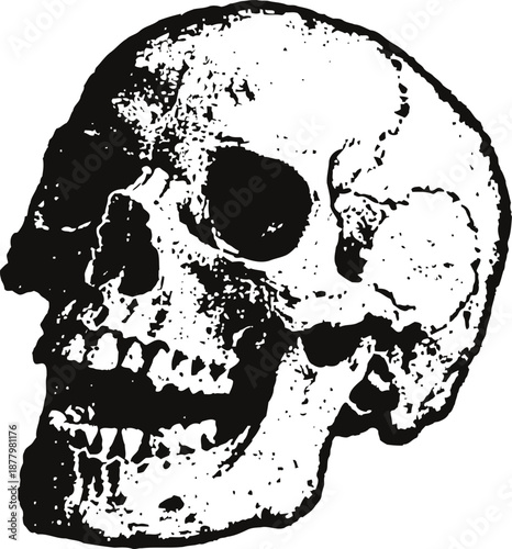 Human skull illustration in black and white profile view with detailed bone structure