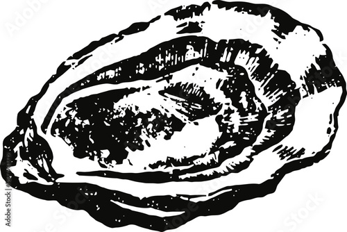 Black and white vintage oyster shell illustration with detailed texture and natural shape