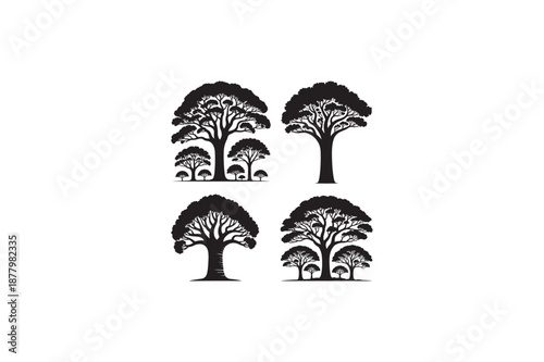 Nature Kauri tree vector silhouettes black image. 
