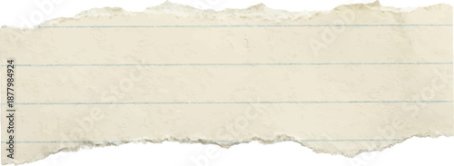 Torn paper strip with horizontal lines on white background ripped edge detail blank space for design