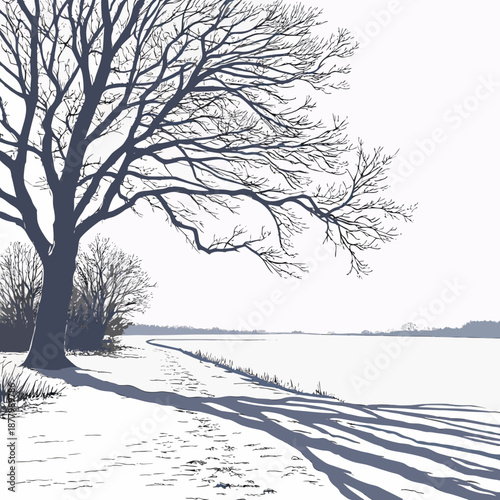 Snow covered plain with bare tree and long soft shadows