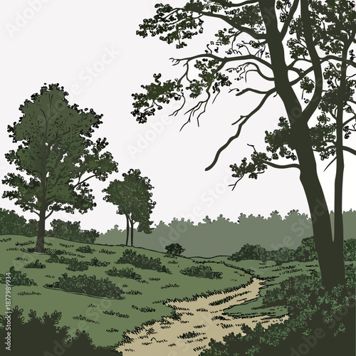 Forest clearing with soft ground dips and trees green 1