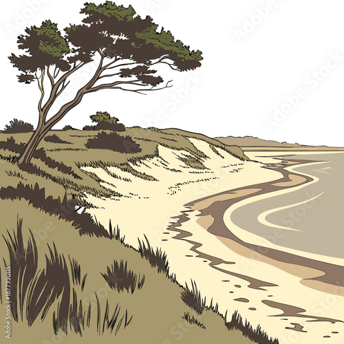 Coastal sand stretch with soft shoreline bend and tree