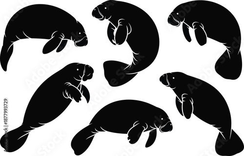 Six manatee silhouettes on white background