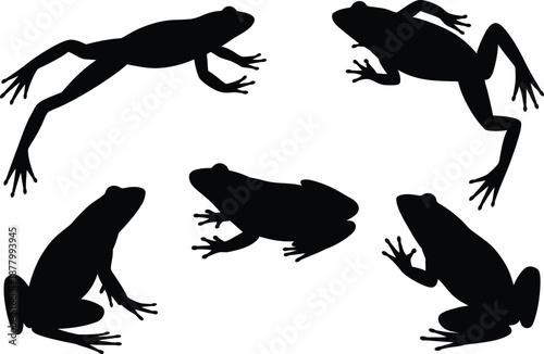 Five frog silhouettes in various poses on white background