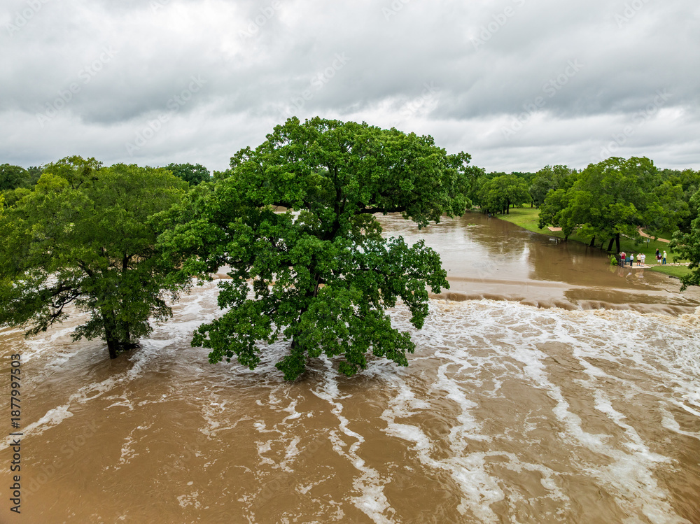 Obraz premium Aerial view of flooding in Georgetown Texas after heavy rainfall in July 2025 showing trees submerged and water over paths