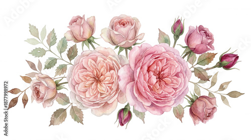 Beautiful pink roses bouquet on black background