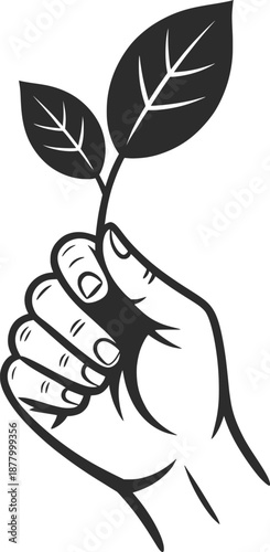 Hand Holding Leaf Minimal Line Art Illustration.