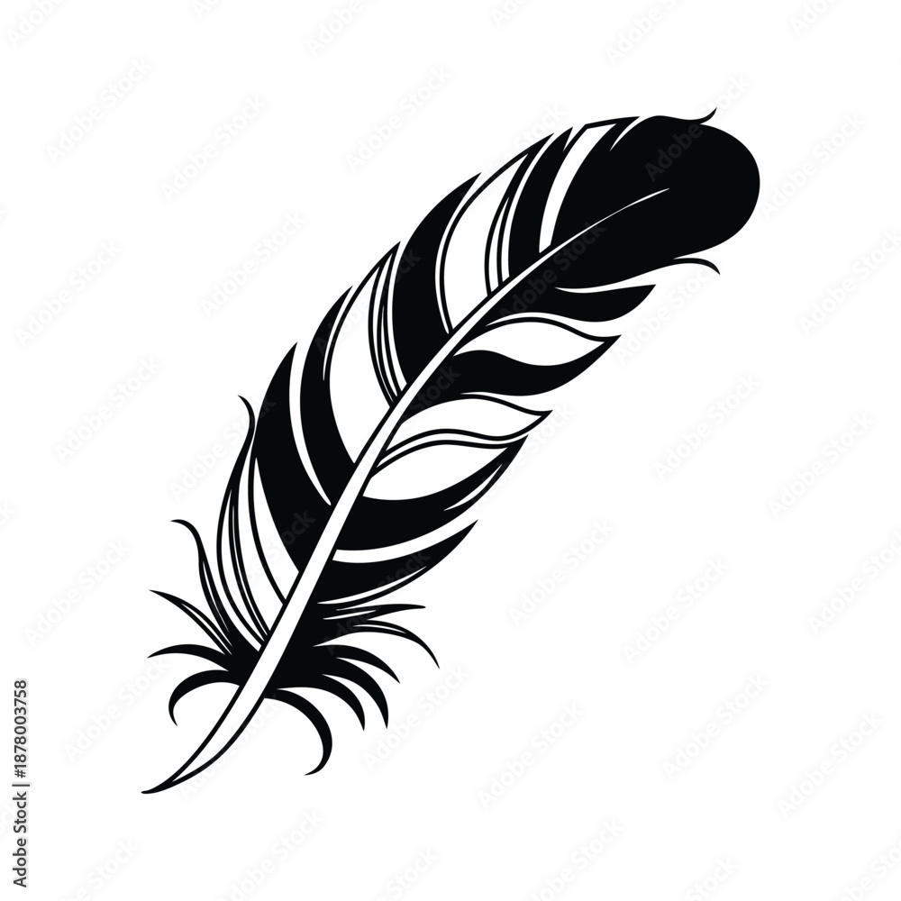 Obraz premium Single graceful feather Vector