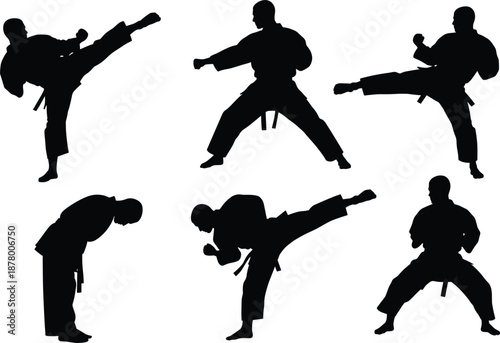 Martial Arts Jump Kick Silhouette