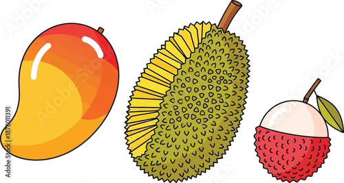 Colorful set of exotic southeast asian fruits including mango durian and lychee vibrant detailed illustrations on background
