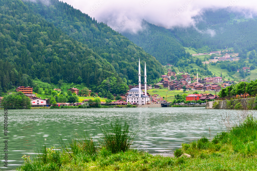 Naklejka premium A foggy day in Uzungol - Caykara, Trabzon - Turkey (Türkiye)