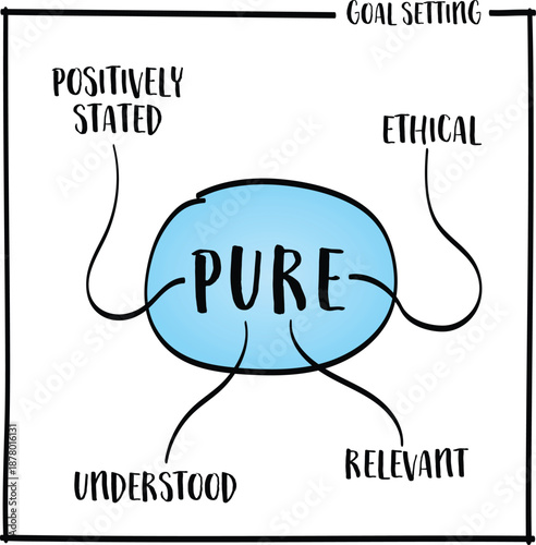 PURE - positively stated, understood, relevant, ethical -  goal setting concept and framework