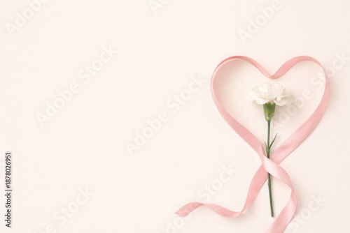 A delicate heart shape created with pink ribbon surrounds a white carnation flower, symbolizing love and affection against a soft background.