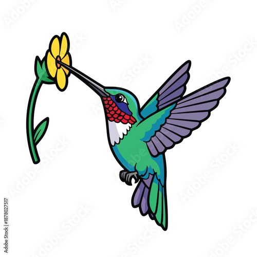 Hummingbird feeding on yellow flower in mid air flight