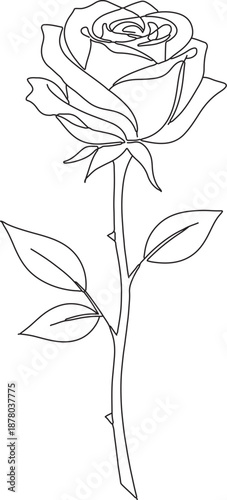 Rose flower line art vector illustration