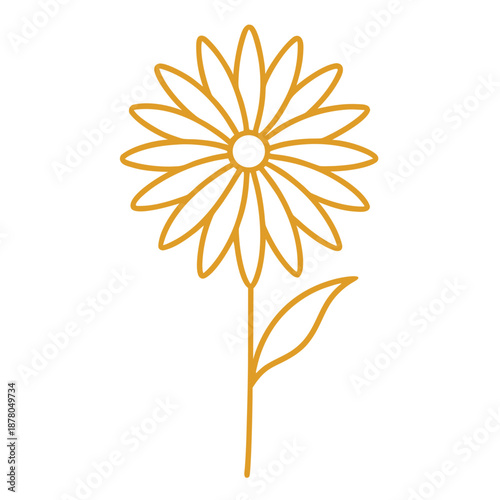 golden marguerite perennial vector line art on white background 