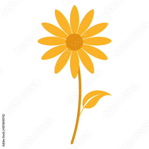 golden marguerite perennial vector silhouette on white background 
