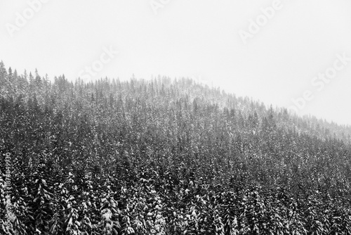 Oksbakklia Hill, part of the Totenåsen Hills, Norway, January 2026.